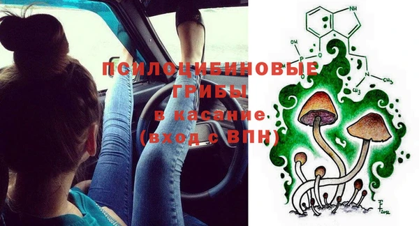 мет Лагань