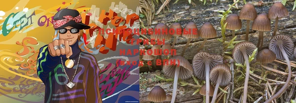 мет Лагань