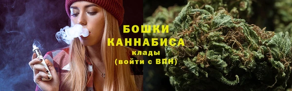 трава Лабытнанги