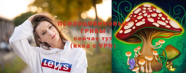мет Лагань