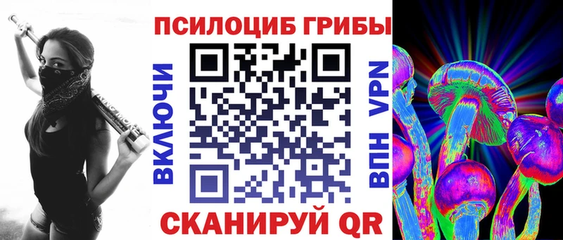Псилоцибиновые грибы Psilocybine cubensis  Артём 